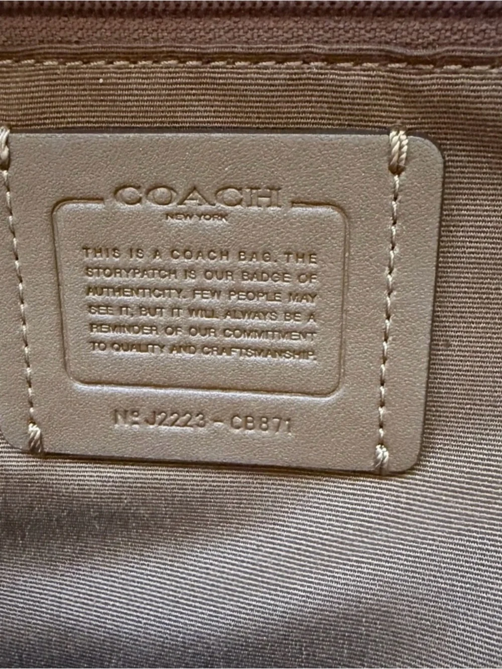 Coach Brown Logo Signature Mini Backpack with Dark Green Trim